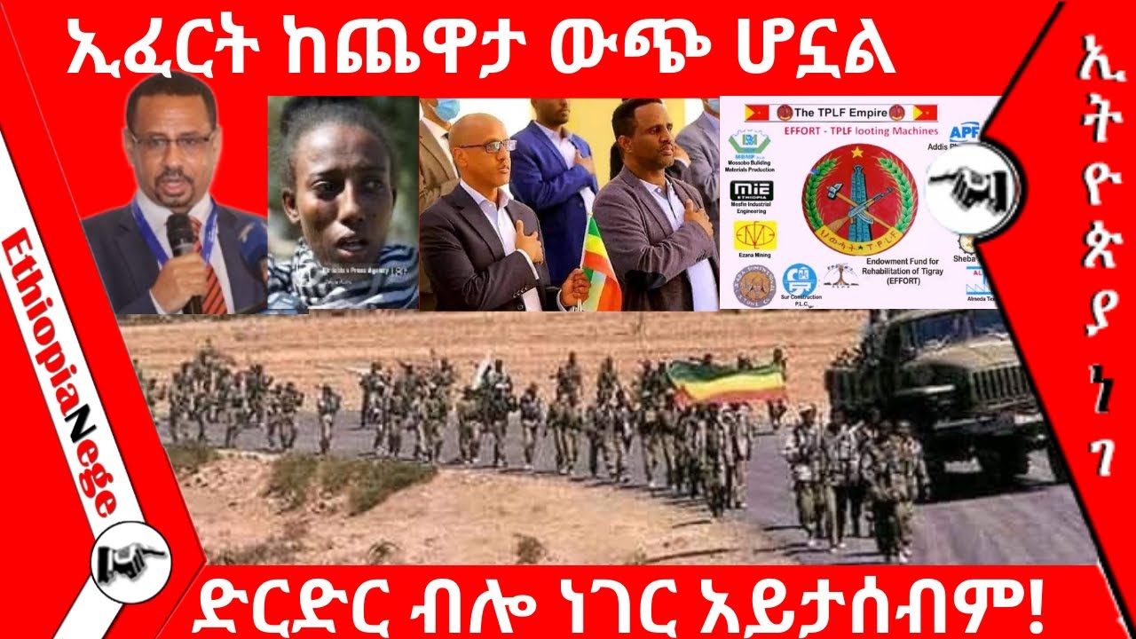 Ethiopia Nege News ኢፈርት ከጨዋታ ውጭ ሆኗል Ethiopia Nege