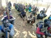 በቤኒሻንጉል 120 ሽፍቶች እጃቸውን ለመንግሥት ሰጡ