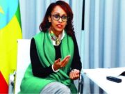በሰብዓዊነት ስም ለሕወሓት ጦር መሳሪያ የሚያቀብሉ ድርጅቶች መኖራቸው ተጠቆመ!