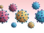 የአለም ጤና ድርጅት ለኮሮና ቫይረስ ዝርያዎች አዳዲስ የመጠሪያ ስም ሃሳቦች አቀረበ!